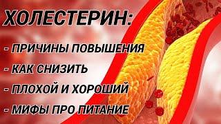 ХОЛЕСТЕРИН: причины повышения, как снизить, как диагностировать и вся правда про хороший и плохой!