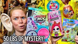 OPENING 50 LBS of Mystery Boxes! (Capsule Chix, Calico Critters, LOL Surprise, Mini Brands, Potato!)