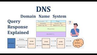 "Understanding DNS Packets: Exploring DNS Query and Response Messages"