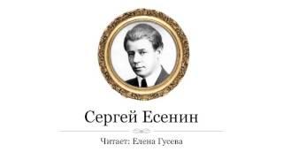 Клён ты мой опавший. Сергей Есенин (слушать стихи)