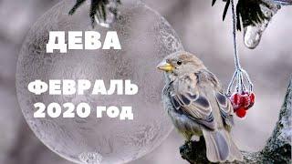 ДЕВА. ФЕВРАЛЬ 2020Г. ТАРО-ПРОГНОЗ.