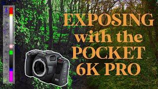 How to Get the Perfect Exposure with the Pocket 6k Pro - False Colour & More