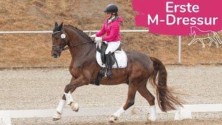 M-Dressur kommentiert von Dorothee Schneider  | Marina und die Ponys