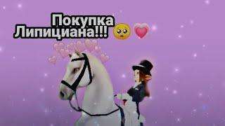 Покупка Липициана! Star Stable ¦ Купила ск! 