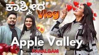 ಕಾಶ್ಮೀರದ Apple Garden | Apple Valley Tour in Kashmir | Enroute Pahalgam |Best Apple Juice in Kashmir