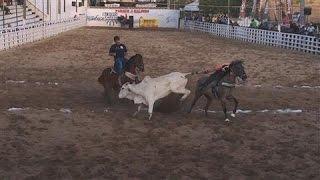 Brazilian Rodeo-Style Sport Banned for Animal Cruelty