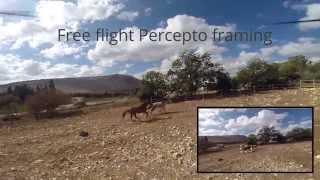 Percepto's "The director" app