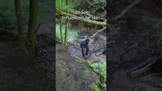 Is it a good Idea to trust this Swing in the woods? #hike #nature #vanlife #influencer