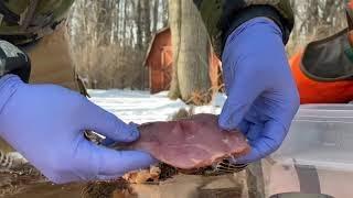 How to Skin and Breast a Pheasant (Graphic).