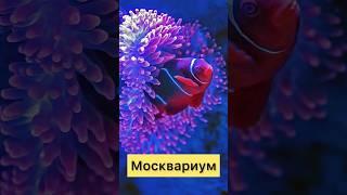 ПОСЕТИЛ МОСКВАРИУМ