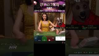 바카라3형제 셋째 곰이 바카라 내친김에 3천만원으로 4천만원까지! #바카라 #바카라실시간 #바카라사이트 #바카라3형제