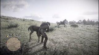 The quickest and cleanest animal kill you'll ever see in RDR2