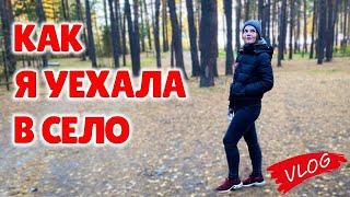 КАК Я УЕХАЛА В СЕЛО | РАЗБОР ПАРФЮМА И ПРОГУЛКА ПО БОРУ