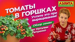 ТОМАТЫ на окне КРУГЛЫЙ ГОД! Какие семена выбрать? Как выращивать томаты в горшке?