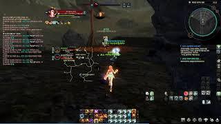 Aion classic. korea. brawler