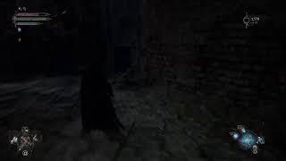 PIETA IS MY BELOVED GOAT!!! (Lords Of The Fallen p2)