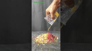 BY GOD TERI SEVA KARENGE Indian flag  Germany Flag  #yt  #short#viral#trending #india#germany