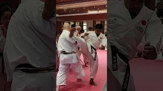 Bassai Dai Bunkai | JKA Training Camp