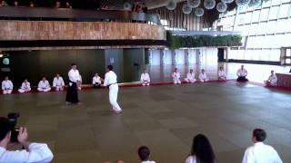 Aikido Yalta 2011: Roman Limarev