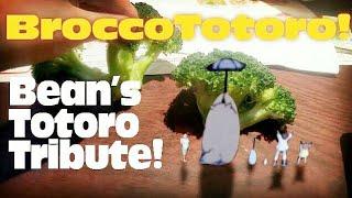 My Neighbor Tororo in the real world, Totoro Tribute! 'Path of Wind' song