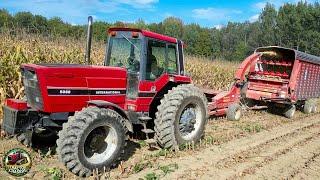 International Harvester 5088 Tractor Chopping Corn Silage