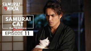 Samurai Cat Full Episode 11 | SAMURAI VS NINJA | English Sub