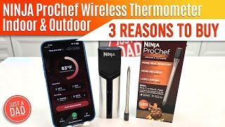 NINJA ProChef Wireless Meat Thermometer WP100  3 Reasons to Buy