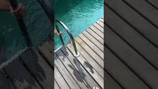 Cute Girl in Bikini #bikinimodel #girl #model #cute #in #bikini #fyp