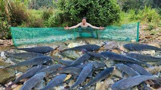 Full video on how to fish with net and pvc pipe. Ana caught a lot of fish in the stream.