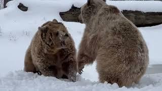 Jenny and Amy - SNOW DAY!