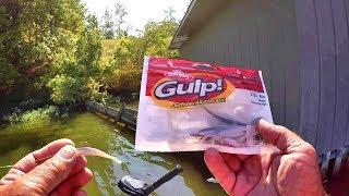 Summer Crappie Fishing Tips - Berkley Gulp Minnow