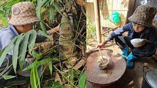 Huy's simple life: Harvesting bamboo shoots at the beginning of the season brings great profits.