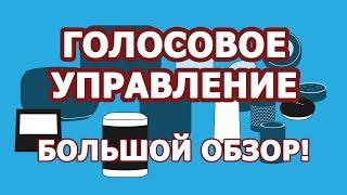 Голосовое управление Умным домом MajorDoMo: обзор систем (Яндекс.Станция, Amazon Alexa, Google Home)