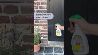 Protecta Répulsif Chiens & Chats : Efficace et Sans Danger – Intérieur & Extérieur #protecta