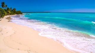 Waves on Saona Island - Relaxing Beach Sounds of the Caribbean Sea For Study, Meditation and Sleep