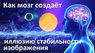 Как мозг обманывает нас | Нейрофизиологический механизм стабилизирует изображение