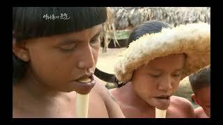 Tears of the Amazon, EP02, #02, 아마존의 눈물, 2회 20100108