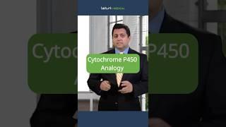 How Drugs Compete in the Cytochrome System: A Car Analogy ️