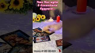 ЧТО ВАС ЖДЁТВ БЛИЖАЙШЕМ БУДУЩЕМ #таро #егочувства #суженый #будущиймуж #мужчинанапороге
