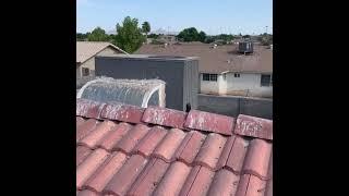 Nasty Birds Hanging in Yuma, Arizona| Maxxforce Pest Control