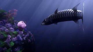 Infiniti Breathe Commercial (Liam Fearon Style)