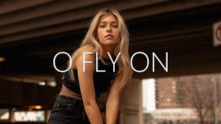 Chr1s & Josiah Nichols - O Fly On (Lyrics)