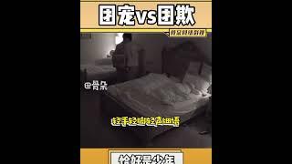 ［刘昊然，王俊凯］ 来看看团宠VS团欺 #恰好是少年 #王俊凯 #刘昊然