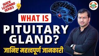 What is Pituitary Gland? | Quick Learning Series by Siddharth Sir | DAMS Nursing