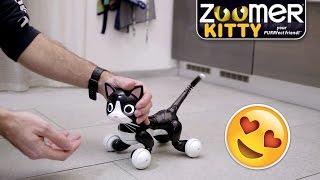 ZOOMER KITTY: la GATTINA ROBOT coccolosa che SEMBRA VERA