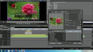 Edius HD Video Mixing  ( Without Dongle )