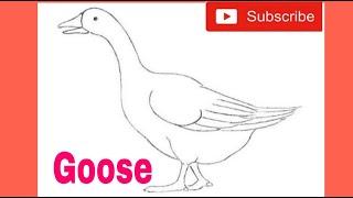 How to draw a Goose. (DRAWING GUIDE)