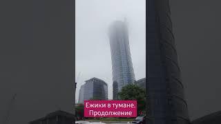 туман, Варшава #мояжизнь #польша #туман #варшава