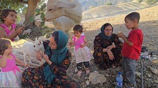 Nomadic Life  A Beautiful Picnic Day with Goats  | Gathering Firewood & Enjoying Nature’s Peace 