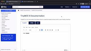 React 18 : Install TinyMCE 6 Online Rich-Text Editor